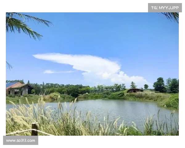 仙侣2奇幻冒险必访的五大景点揭秘 让你畅游仙境探秘奇幻世界